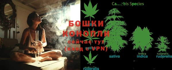 прущая мука Каменногорск