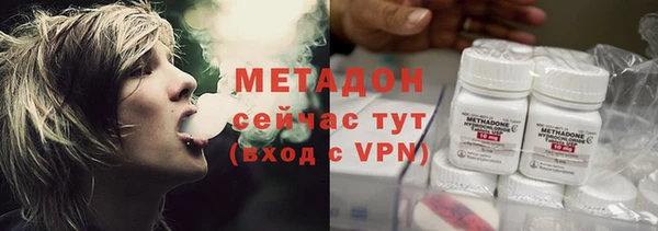 сатива Инта