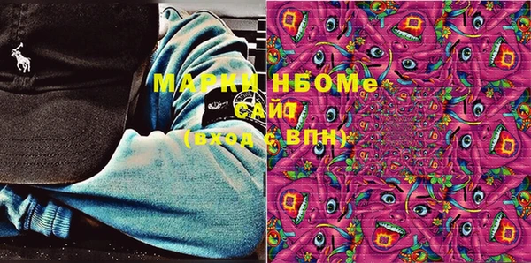 сатива Инта