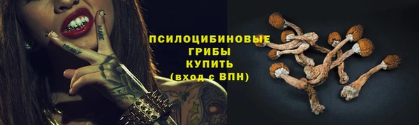 ГАЛЛЮЦИНОГЕННЫЕ ГРИБЫ Каменка