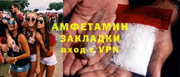 сатива Инта