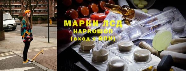 ГАЛЛЮЦИНОГЕННЫЕ ГРИБЫ Каменка