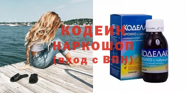 сатива Инта