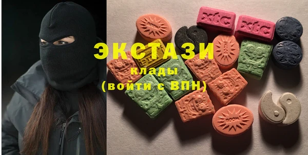 сатива Инта