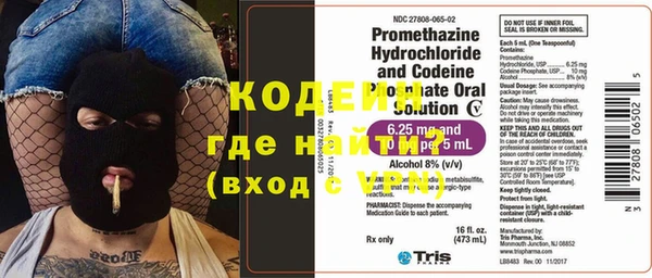 ГАЛЛЮЦИНОГЕННЫЕ ГРИБЫ Каменка
