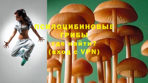 ГАЛЛЮЦИНОГЕННЫЕ ГРИБЫ Каменка